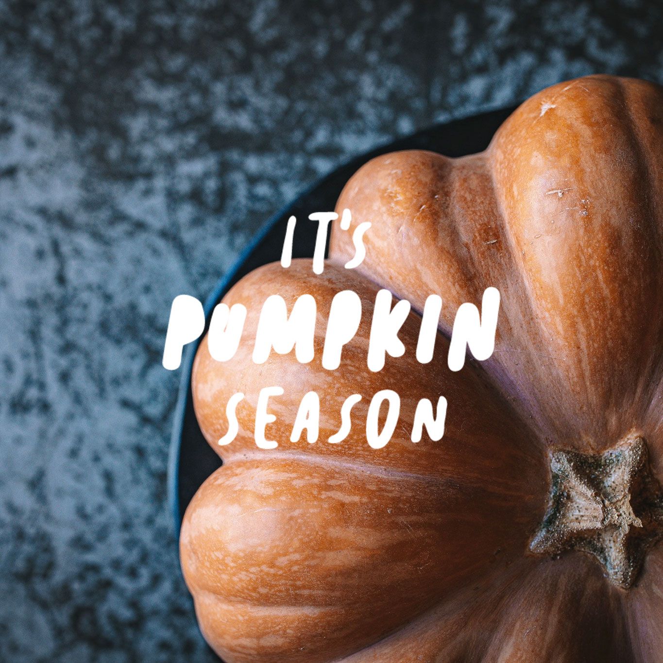 Sémola - Panadería y Pastelería - Vigo - Otoño 2025