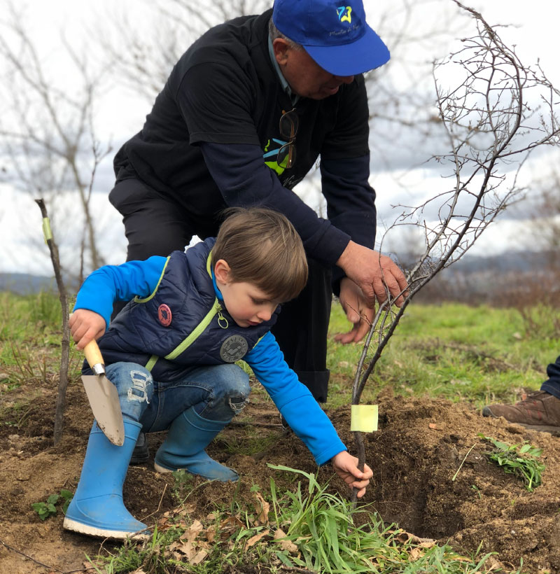 Sémola - Somos de Monte - Resultados